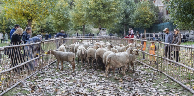 Un instant de la Fira del Bestiar i Artesania de Canillo.