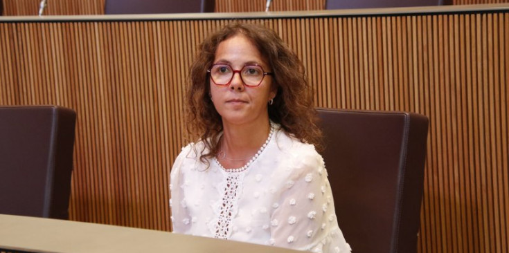 La presidenta del Grup parlamentari socialdemòcrata, Judith Salazar.