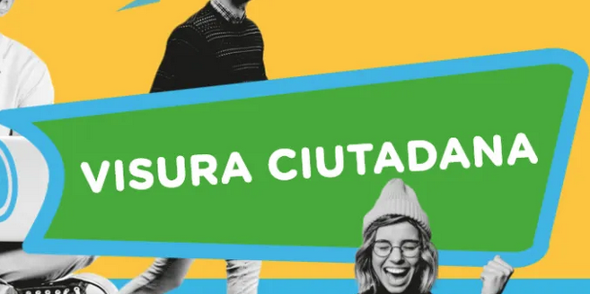 Cartell de la constitució Visura Ciutadana per cridar l’atenció de la societat