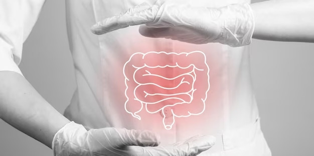 Imatge d’uns òrgans intestinals inflamats.