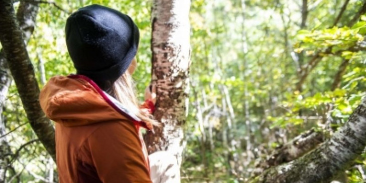 Els banys de bosc que duu a terme l’empresa.