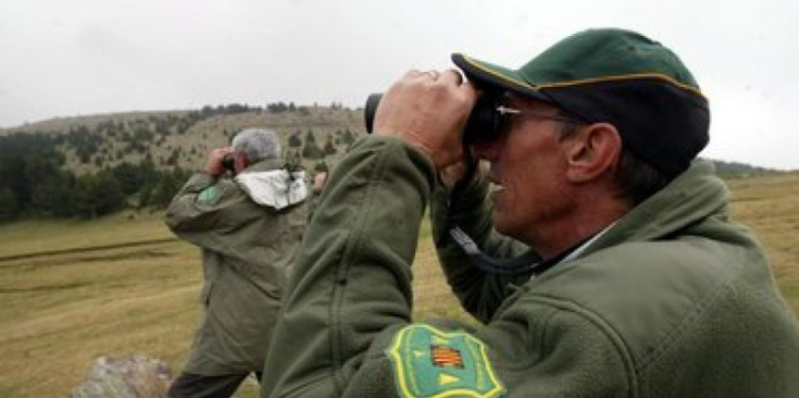El departament de Medi Ambient de la Generalitat vigila dels caçadors durant la setmana de l'isard.