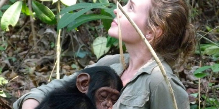 La presidenta de l’Institut Jane Goodall Espanya, Laura Mari, al Centre de Rehabilitació de Ximpanzés de Tchimpounga, al Congo, junt amb l’Anzac, una de les cries de ximpanzé orfe rescatades de la caça furtiva.