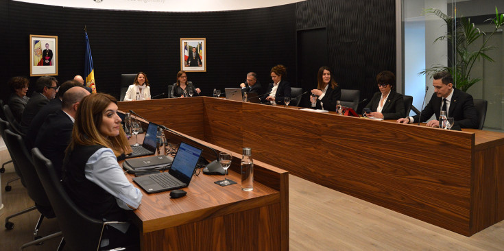 Imatge de la sessió de consell.