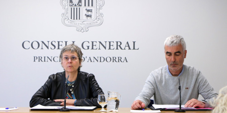 Susanna Vela i Marc Magallon, presidenta i vicepresident de la Comissió Legislativa d’Educació, Recerca, Cultura, Joventut i Esports.
