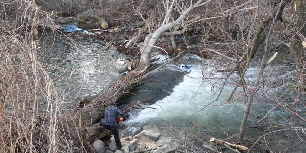 Obres de retirada dels arbres caiguts al riu Valira a causa de les ventades.