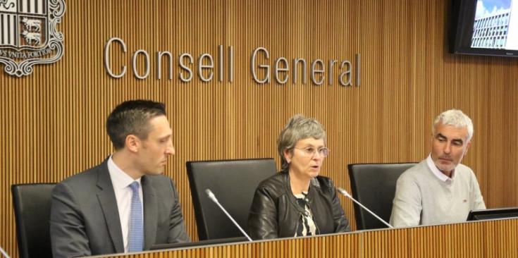 El director de l’Agència de Qualitat de l’Ensenyament Superior d’Andorra, Isaac Galobardes, durant la compareixença al  Consell General.