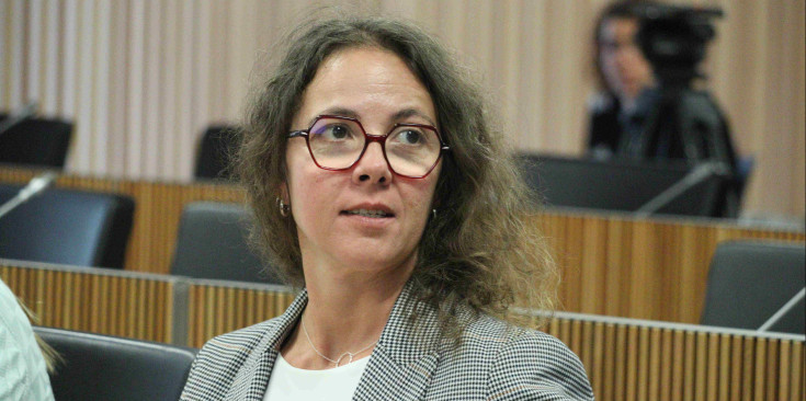 La presidenta del grup parlamentari Socialdemòcrata, Judith Casal.