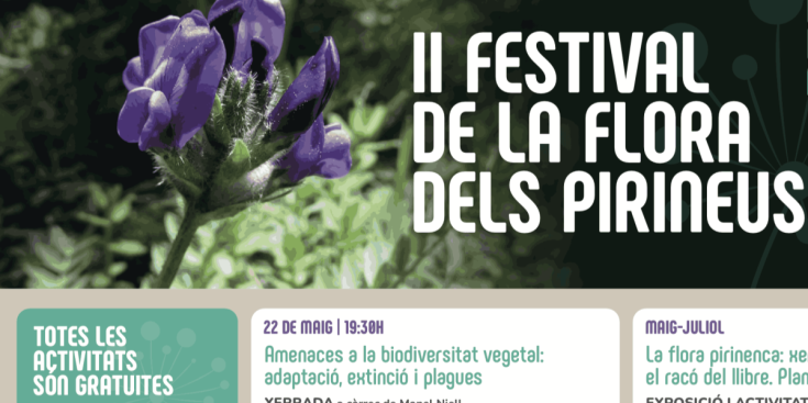 El cartell promocional del Festival de la Flora dels Pirineus.