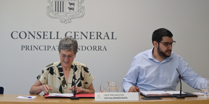 La presidenta suplent del grup parlamentari Socialdemòcrata, Susanna Vela, i el conseller general Pere Baró.
