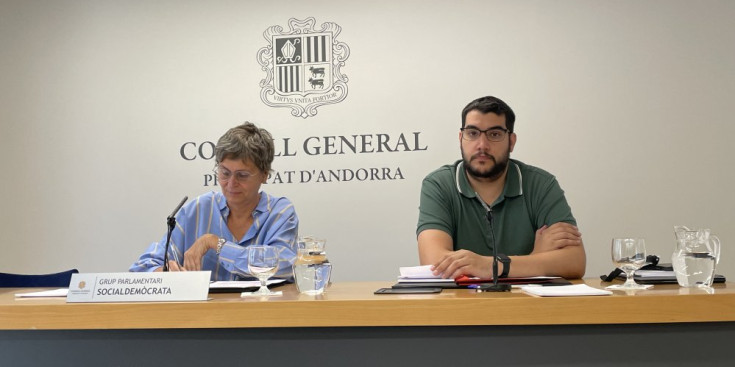 La compareixença d'aquest migdia del grup socialdemòcrata al Consell General.