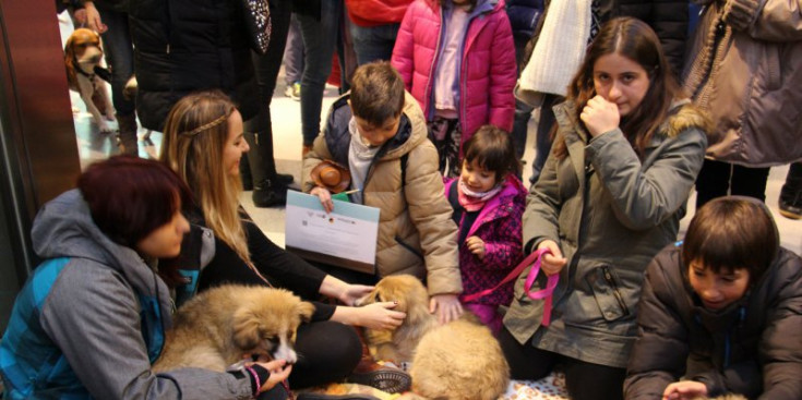 Diversos nens acaronen uns gossos en la jornada d’adopcions.