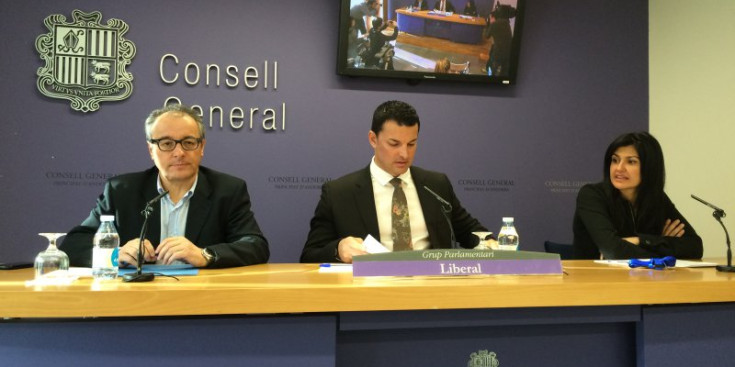 Joan Carles Camp, Jordi Gallardo i Carine Montaner, ahir al Consell General