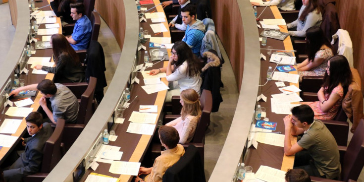 Participants del Consell de Joves durant una sessió celebrada al Consell General d’Andorra.