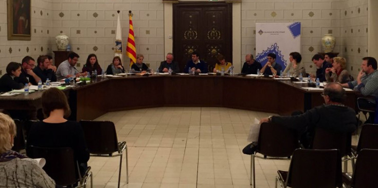 Sessió del ple de l'ajuntament de la Seu.