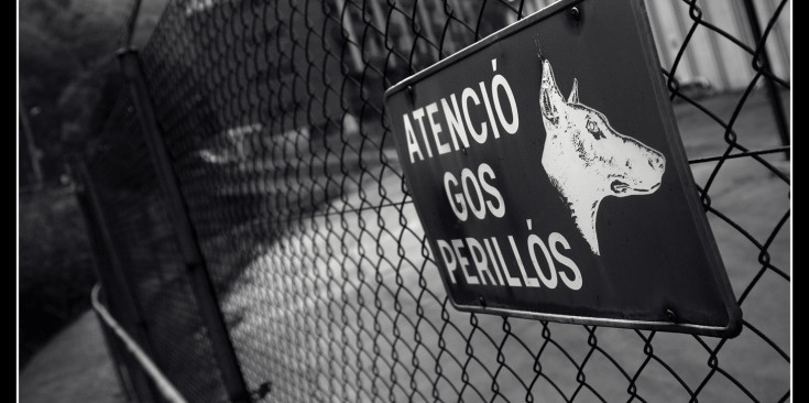 Un cartell alerta de la presència d’un gos perillós en una finca.