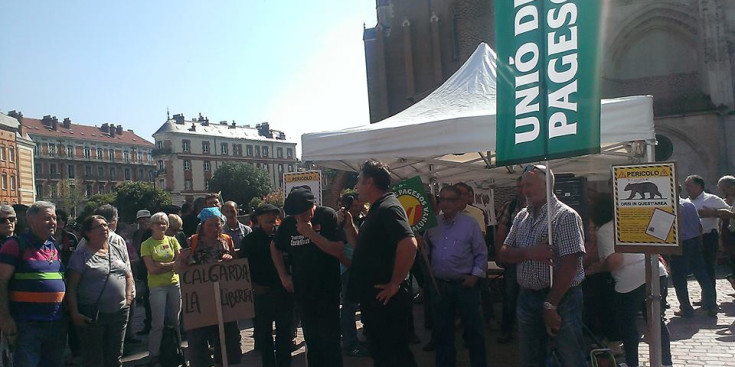 Manifestació de ramaders pirinencs a Tolosa de Llenguadoc.