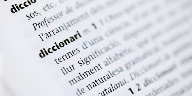 El Ministeri de Cultura i el centre Termcat treballen en conjunt per elaborar el nou diccionari.