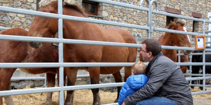 Pare i fill observen part del bestiar situat al pàrquing Els Arenys durant la celebració de la fira, ahir.